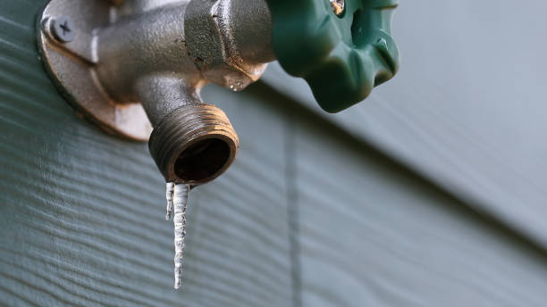Best Water Softener Installation  in Chandler, TX